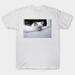 the gray and white ragdoll cat chills T-Shirt